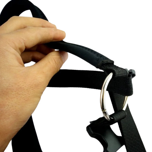 Licol détachable – Image 4