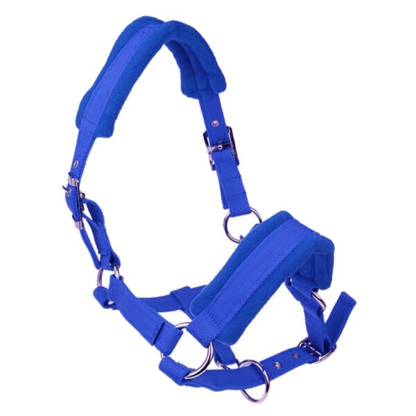 Licols moumoute – Image 5