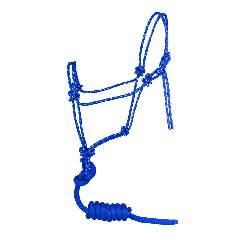 Licole ethologique – Image 2