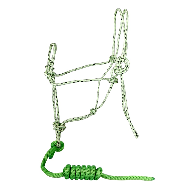 Licole ethologique – Image 4