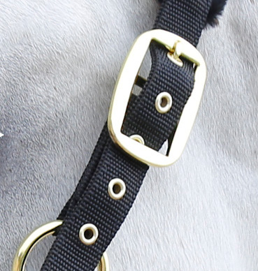 Licol en moumoute cheval – Image 7