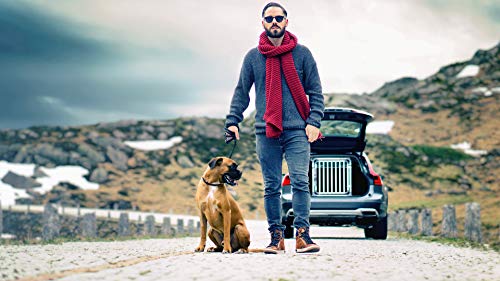 4PETS – Cage pour Chien Pro 1 Taille S – pour Chien de Moins de 17 kg – Caisse de Transport Aluminium Certifiée TÜV – Image 7