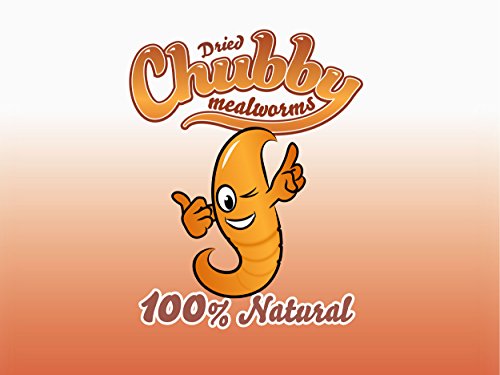 5 litres de vers de farine séchés Chubby pour oiseaux sauvages, livraison gratuite – Image 7