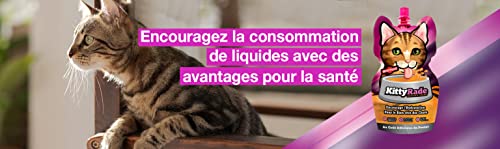 Boisson pour Chat | hydratante Isotonique Prébiotique Appétente | ACTI VET Plus Sante | Encourage Les Chats à Boire, Temps Chaud, Transition Alimentaire – KittyRade (Gourdes 250ml en Pack) – Image 7