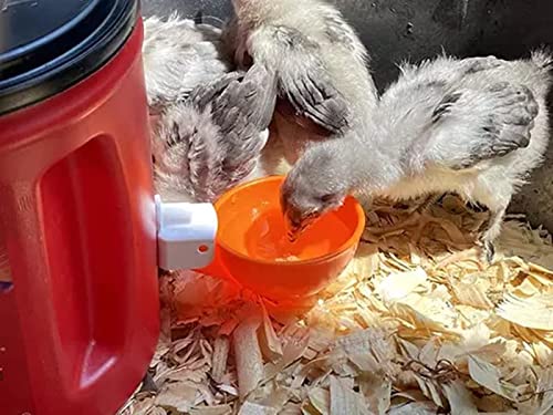 5 pcs, Abreuvoir Poules, Abreuvoir Automatique Poule Kit, Abreuvoirs Automatiques De Poulet, Convient Aux Oiseaux, Volailles, Pigeons, Poulets, Canards – Image 9