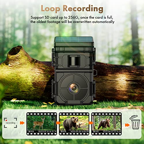 Camera de Chasse Solaire, 24MP 1080P Camera Chasse 2500mAh Batterie Intégrée Rechargeable, Caméra Chasse Nocturne Activé par Mouvement Temps de Déclenchement 0.1s Angle de Détection 120° Étanche IP66 – Image 4