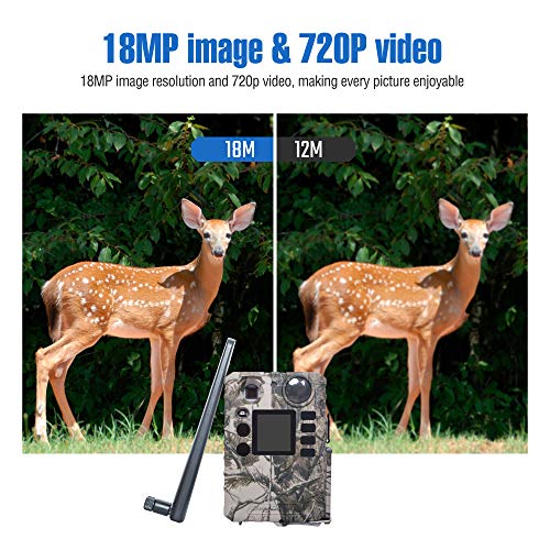Bolyguard Caméra de Chasse 18MP 720P Caméra de Faune Caméra de Gibier à Détection de Nuit sans Brillance 940nm IR LEDs Intervalle de Temps Minuterie Etanchéité IP66 – Image 4