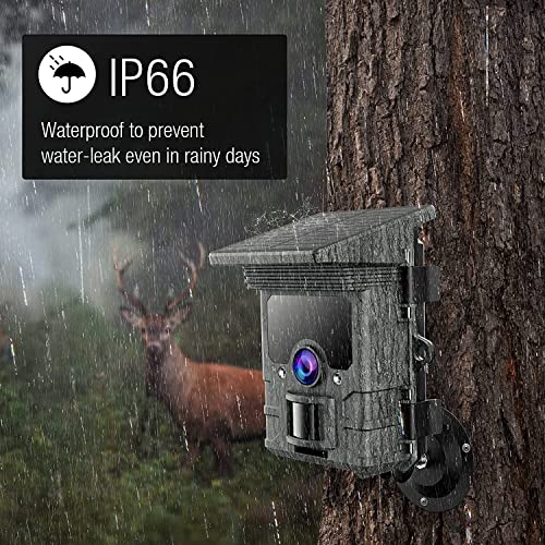 Camera de Chasse Solaire WiFi 4K 30FPS 46MP, Bluetooth Camera Chasse Infrarouge Batterie Rechargeable Intégrée, Caméra de Chasse Nocturne Étanche IP66 Grand Angle 120° Vitesse de Dclenchement 0,1s – Image 7
