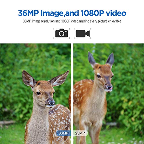 Bolyguard 36MP 1080P Camera de Chasse Surveillance Infrarouge 36MP 1080P Vision Nocturne Étanchéité à la Norme IP66, LED de 940nm, Caméra de Jeu Nocturne Infrarouge Activé par Le Mouvemen – Image 2