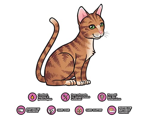 Boisson pour Chat | hydratante Isotonique Prébiotique Appétente | ACTI VET Plus Sante | Encourage Les Chats à Boire, Temps Chaud, Transition Alimentaire – KittyRade (Gourdes 250ml en Pack) – Image 5