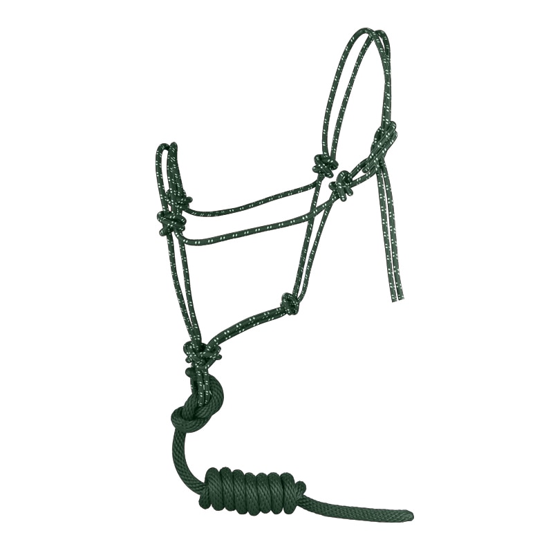 Licole ethologique – Image 3