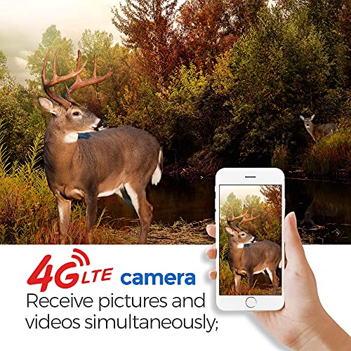 Bolyguard 24MP 1080P HD Caméra de Chasse GSM Piege Photo IP66 Camera Chasse 4G Vision Nocturne 100ft (BG710-M) – Image 2