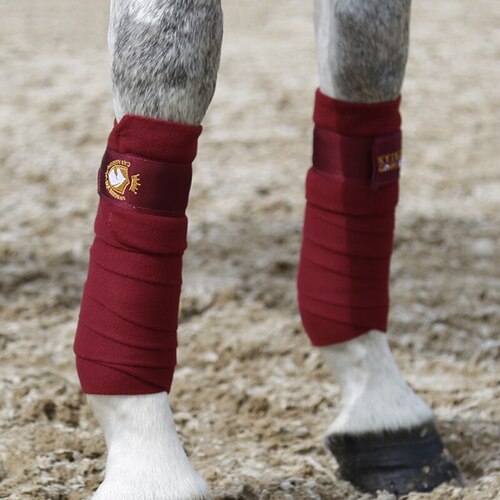 Bande de polo bleu roi, bordeaux, noir ou blanc – Image 8