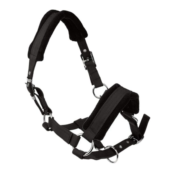 Licols moumoute – Image 4