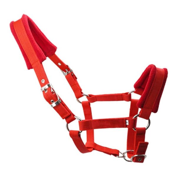 Licols moumoute – Image 2