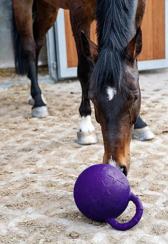 Ballon cheval box à poignée – Image 4