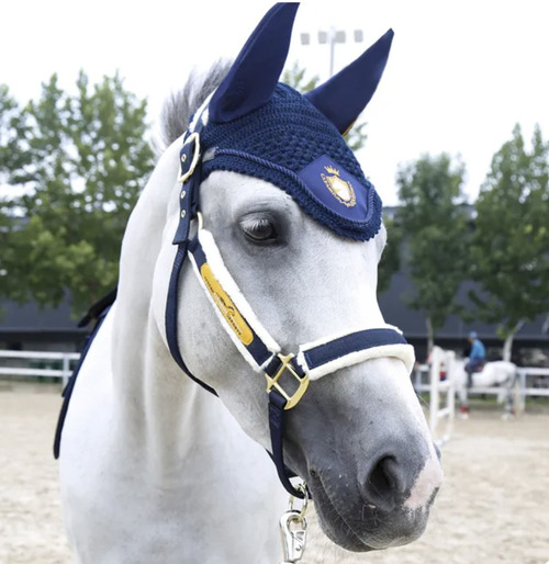 Licol en moumoute cheval