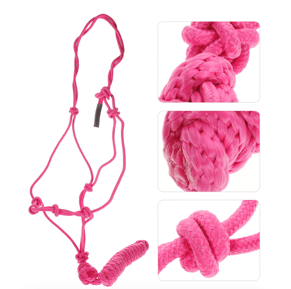 Licol ethologique rose fluo – Image 2