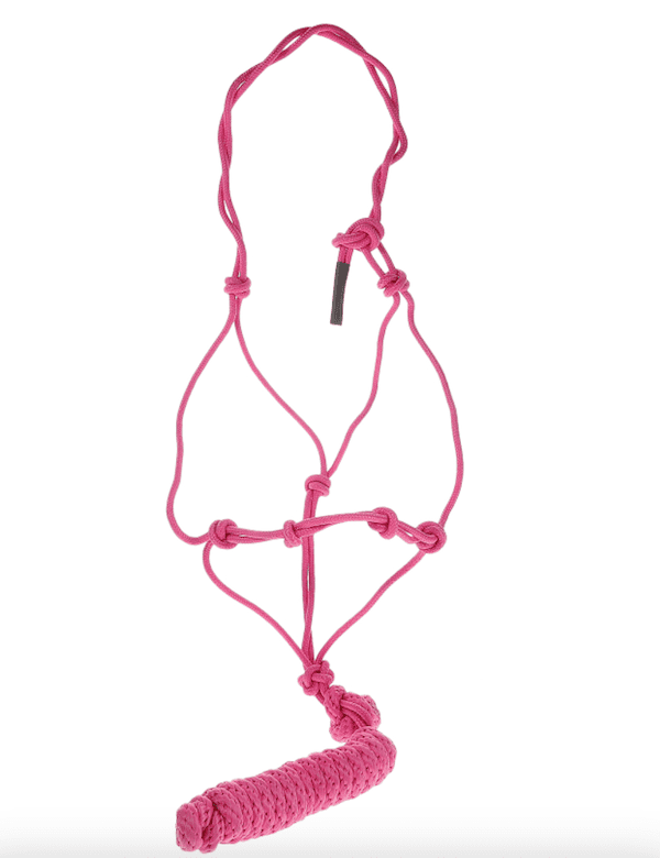 Licol ethologique rose fluo