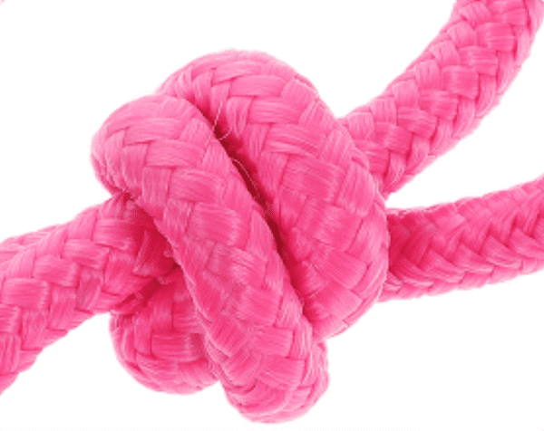 Licol ethologique rose fluo – Image 3