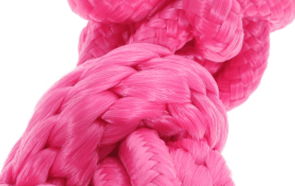 Licol ethologique rose fluo – Image 4