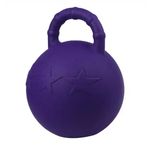 Ballon cheval box à poignée – Image 2