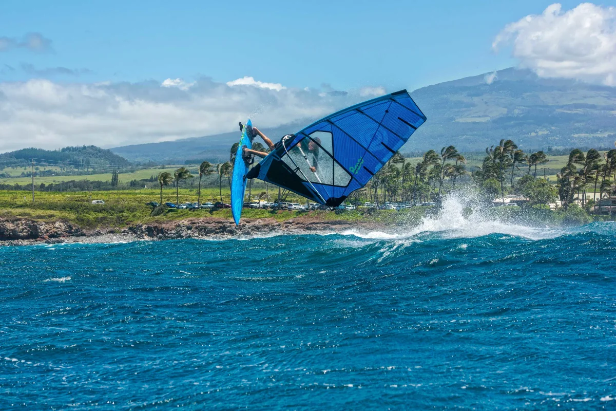 ..GOYA ONE 12 – Image 3