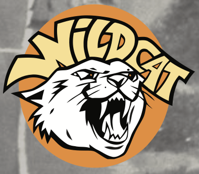 pyzel wildcat – Image 2